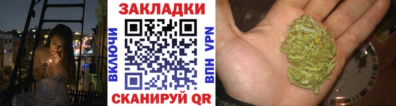 А ПВП Ельня