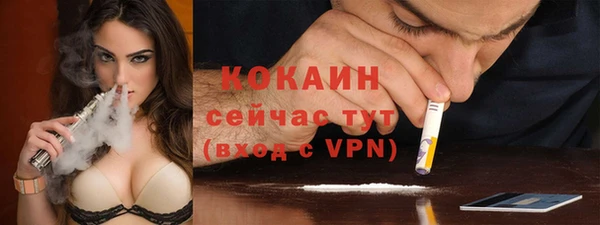 дурь Мегион