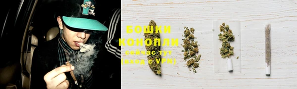 дурь Мегион