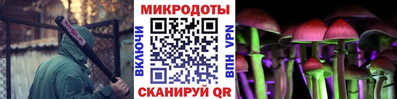 закладки  Ельня  Галлюциногенные грибы Magic Shrooms 